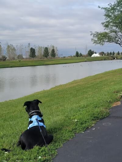 rainbow park - Saginaw, MI