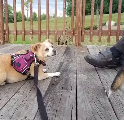 rainbow park - Saginaw, MI