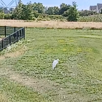 rainbow park - Saginaw, MI