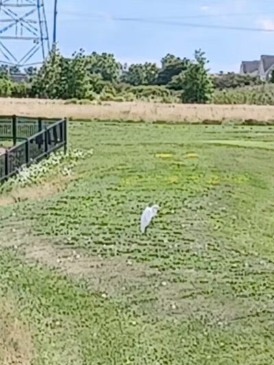 rainbow park - Saginaw, MI