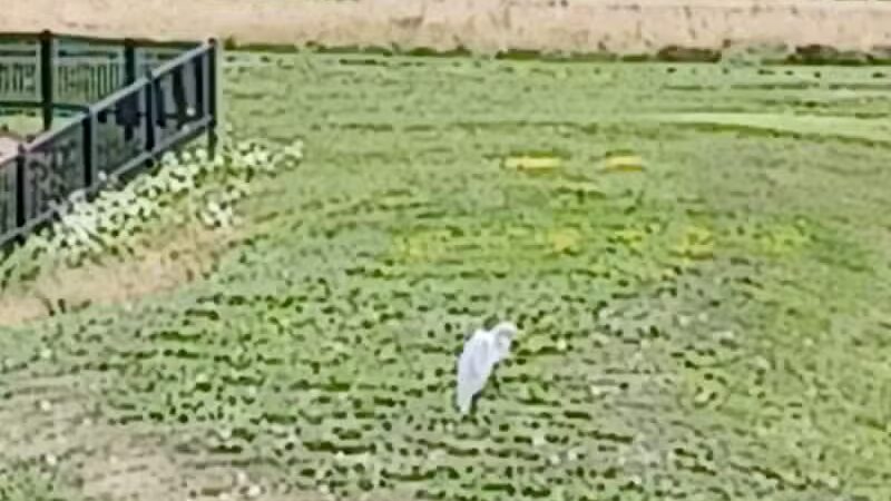 rainbow park - Saginaw, MI