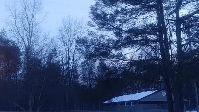 Roethke Park - Saginaw, MI