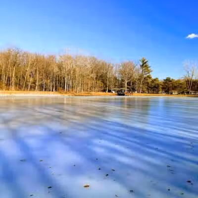 Roethke Park - Saginaw, MI