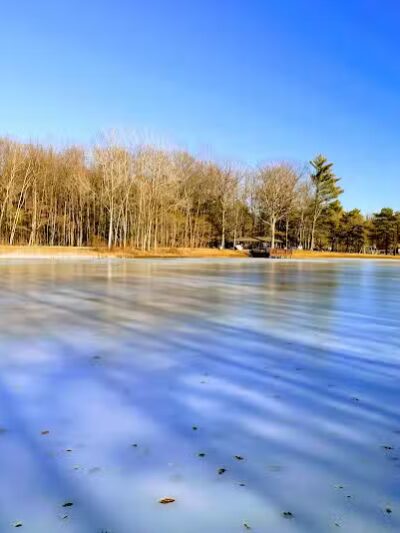 Roethke Park - Saginaw, MI