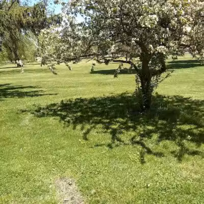 Rust Park - Saginaw, MI