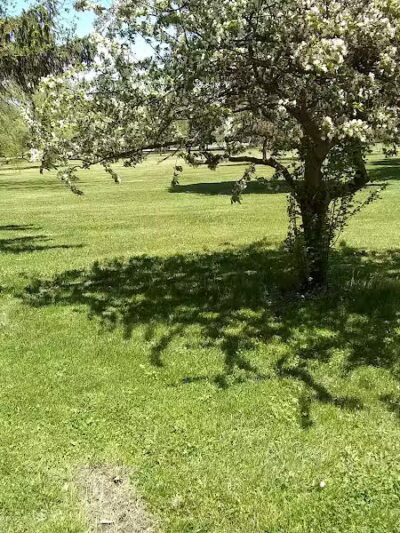 Rust Park - Saginaw, MI