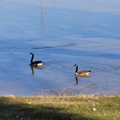 Rust Park - Saginaw, MI