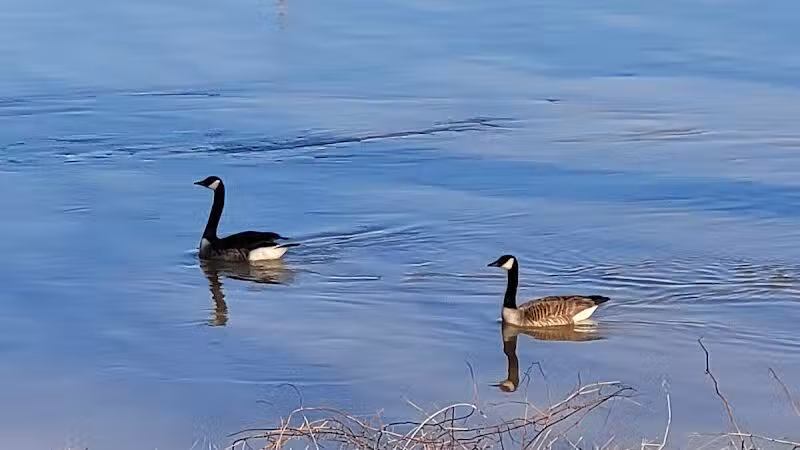 Rust Park - Saginaw, MI