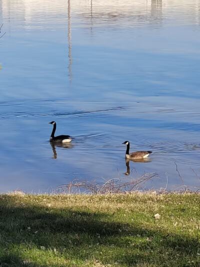 Rust Park - Saginaw, MI