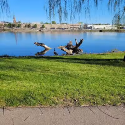 Rust Park - Saginaw, MI