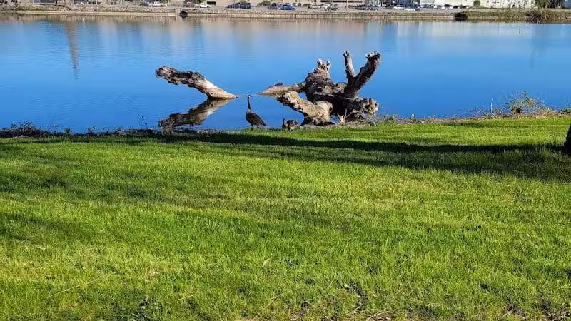 Rust Park - Saginaw, MI