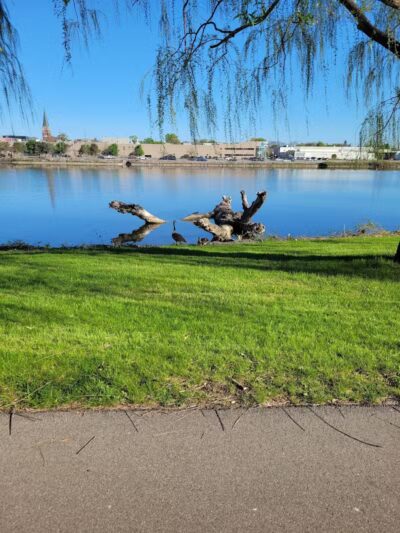 Rust Park - Saginaw, MI