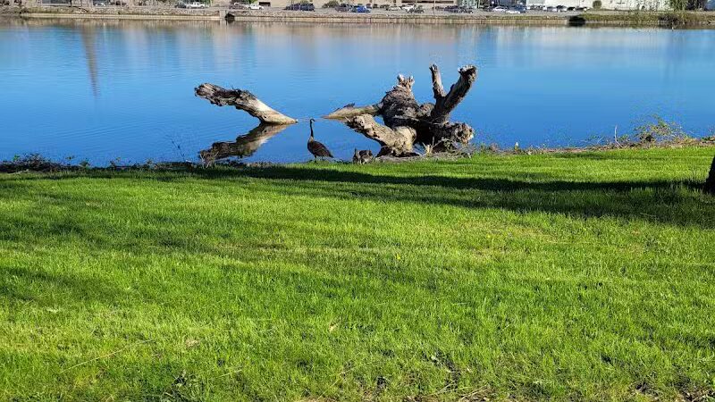 Rust Park - Saginaw, MI
