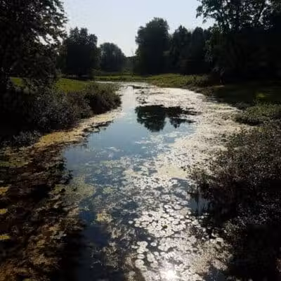 Saginaw Rail Trail Parking and Trail Head - Saginaw, MI