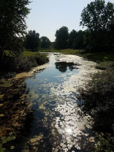 Saginaw Rail Trail Parking and Trail Head - Saginaw, MI