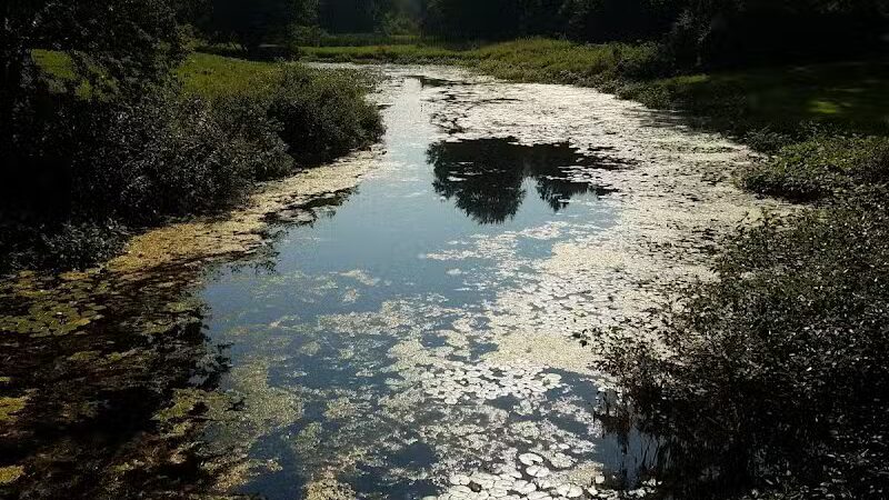 Saginaw Rail Trail Parking and Trail Head - Saginaw, MI