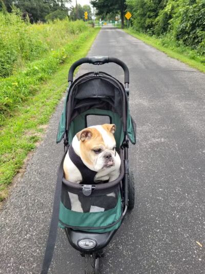 Saginaw Rail Trail Parking and Trail Head - Saginaw, MI