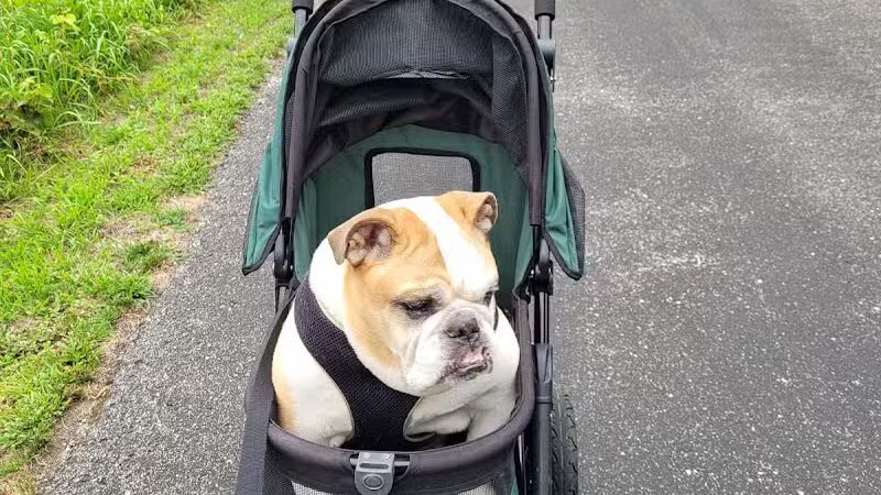 Saginaw Rail Trail Parking and Trail Head - Saginaw, MI