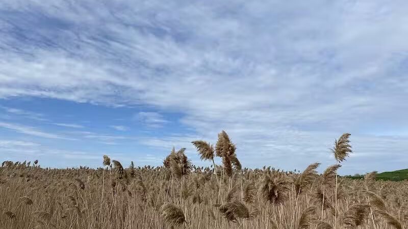 Saginaw River Headwaters Rec Area - Saginaw, MI