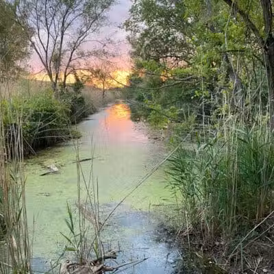 Saginaw River Headwaters Rec Area - Saginaw, MI
