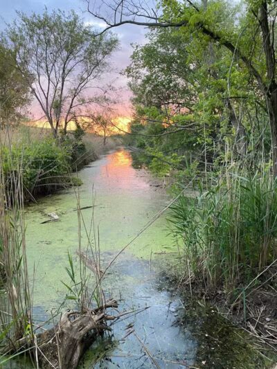 Saginaw River Headwaters Rec Area - Saginaw, MI