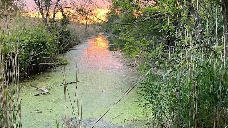 Saginaw River Headwaters Rec Area - Saginaw, MI