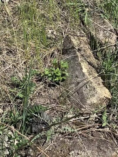 Saginaw River Headwaters Rec Area - Saginaw, MI