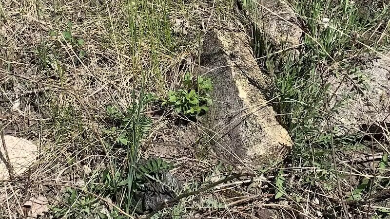 Saginaw River Headwaters Rec Area - Saginaw, MI