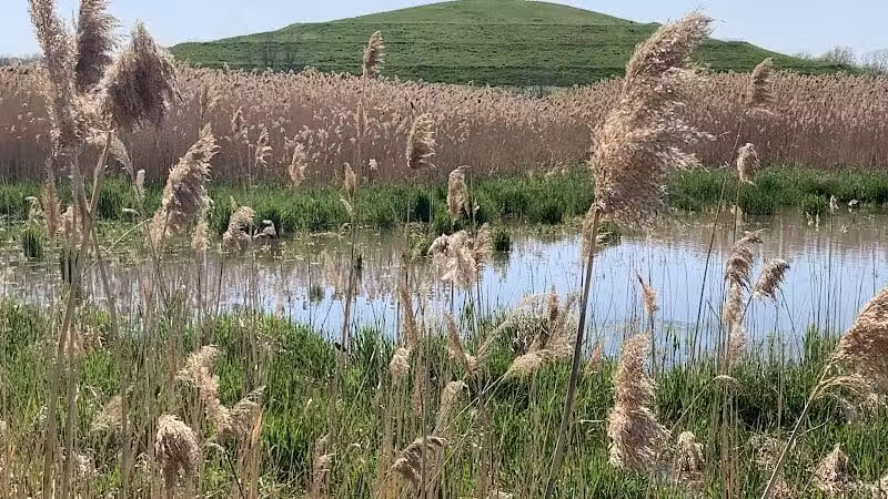Saginaw River Headwaters Rec Area - Saginaw, MI