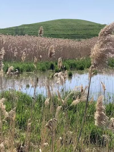 Saginaw River Headwaters Rec Area - Saginaw, MI