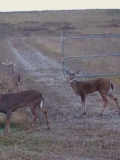 Saginaw River Headwaters Rec Area - Saginaw, MI