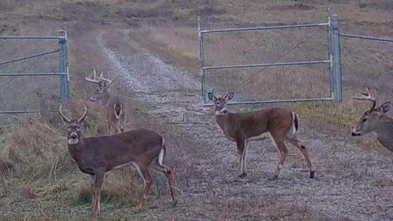 Saginaw River Headwaters Rec Area - Saginaw, MI