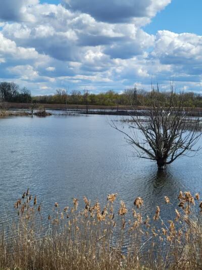 Saginaw River Headwaters Rec Area - Saginaw, MI