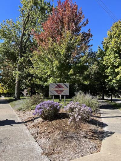 Weadock Park - Saginaw, MI