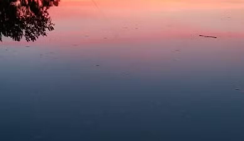 Wickes Park - Saginaw, MI