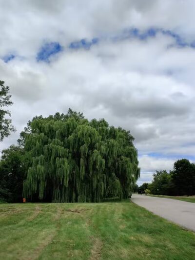 Wickes Park - Saginaw, MI