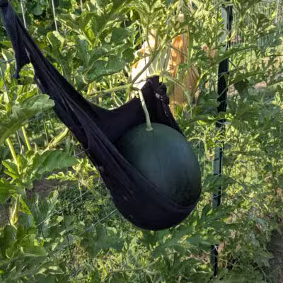 Mack Park - Salem, MA