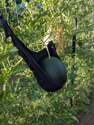 Mack Park - Salem, MA