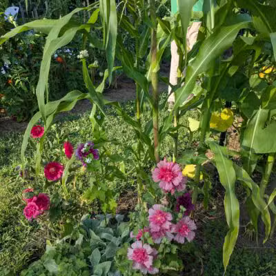 Mack Park - Salem, MA