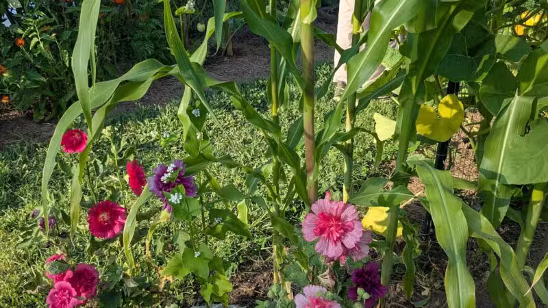 Mack Park - Salem, MA