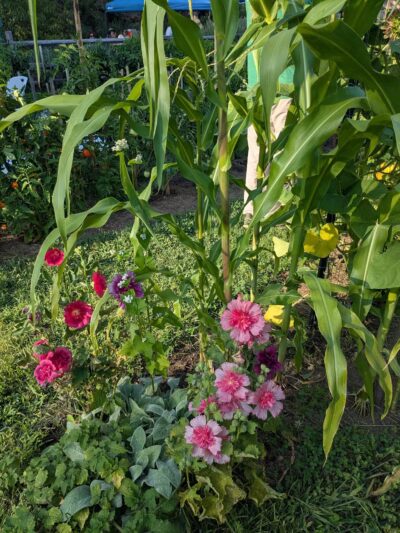 Mack Park - Salem, MA