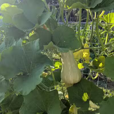 Mack Park - Salem, MA