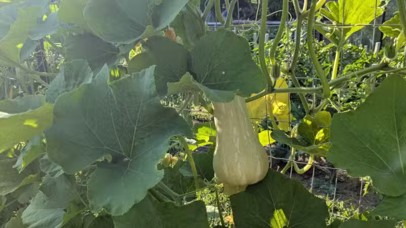 Mack Park - Salem, MA