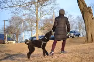 Mack Park - Salem, MA