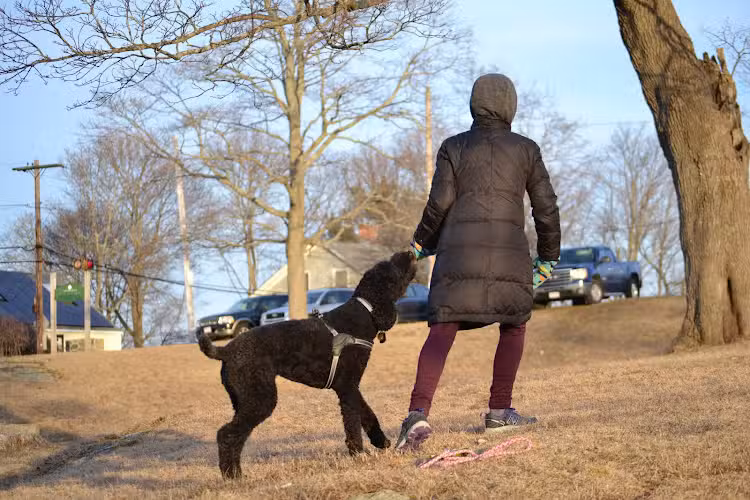Mack Park - Salem, MA