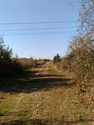 Abbotts Meadow Wildlife - Viewing area - Salem, NJ