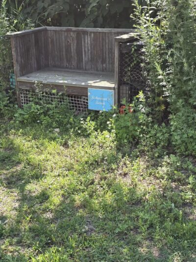 Swampscott Dog Park - Salem, MA