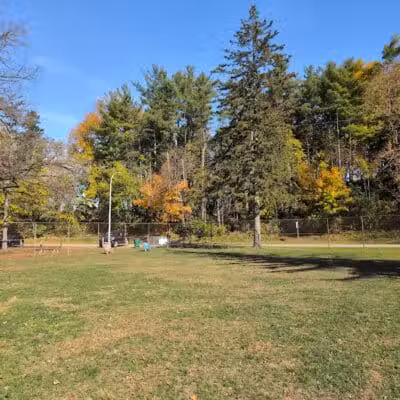 Curtiss Park Dog Park - Saline,