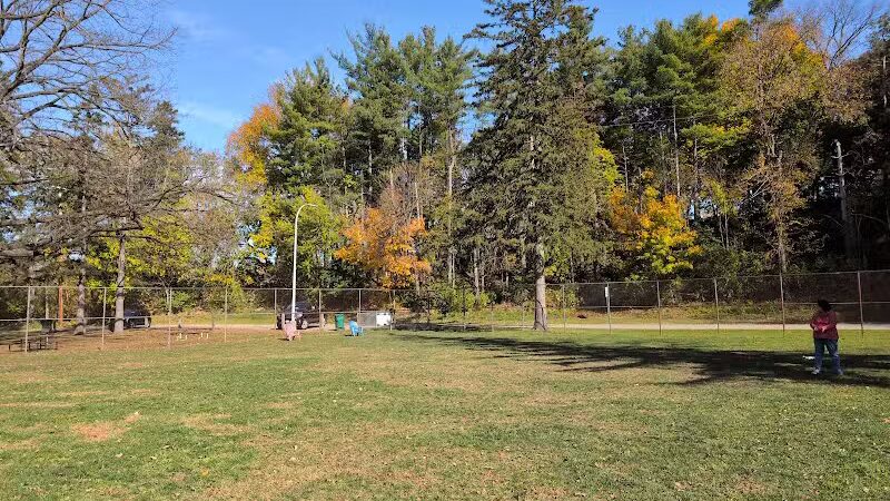 Curtiss Park Dog Park - Saline,