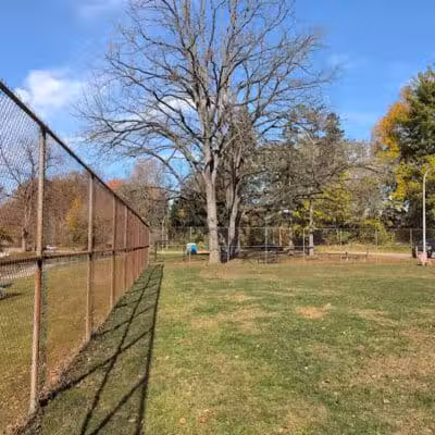 Curtiss Park Dog Park - Saline,